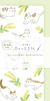 Furukawa - Shiko Mimosa and Cat Letter Set