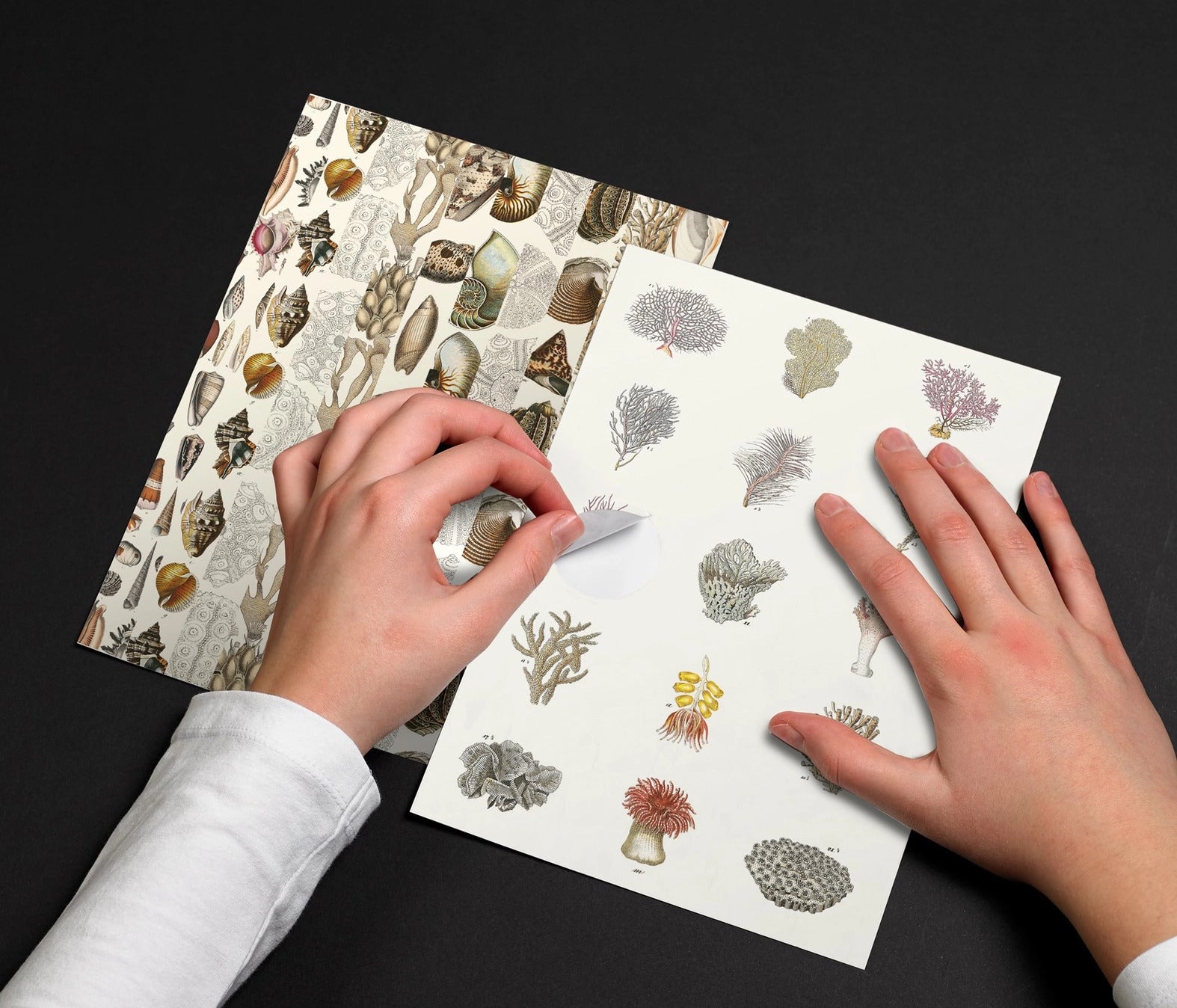 Pepin Label, Sticker & Tape Book - Marine