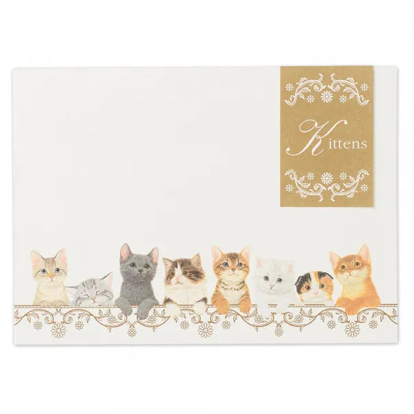 NB.CO - Envelopes - Kitten