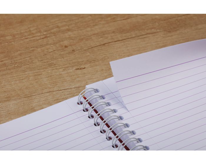 Clairefontaine Linicolor Wirebound Revision Cards