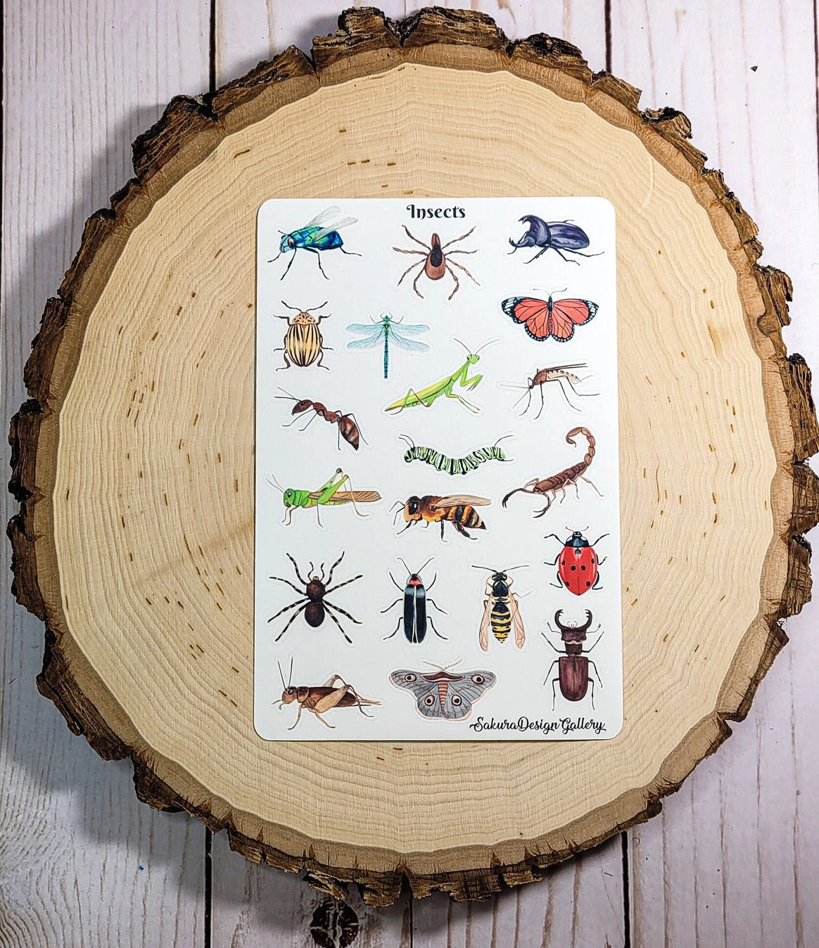 Sakura Design Gallery - Vinyl Stickers - Insects