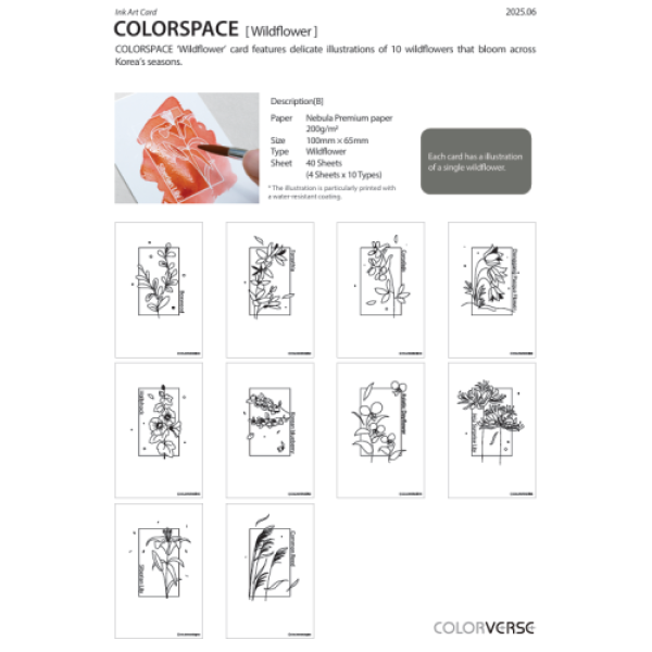 Colorverse Colorspace Ink Art Card Wildflower Size B
