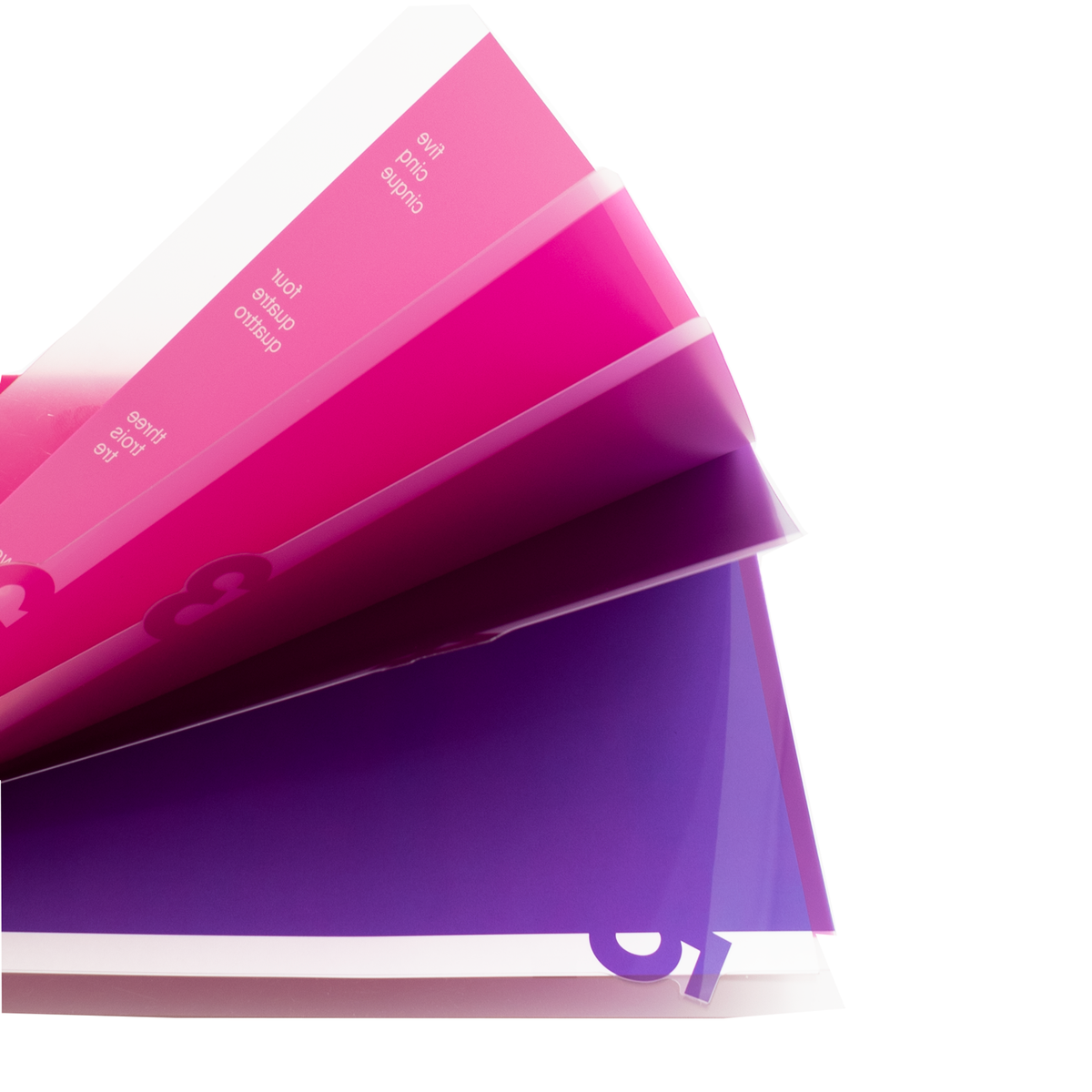 Midori 5 Pocket Clear Folder A4 - Pink