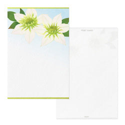 Midori Post Card 783 Foil Stamping Clematis