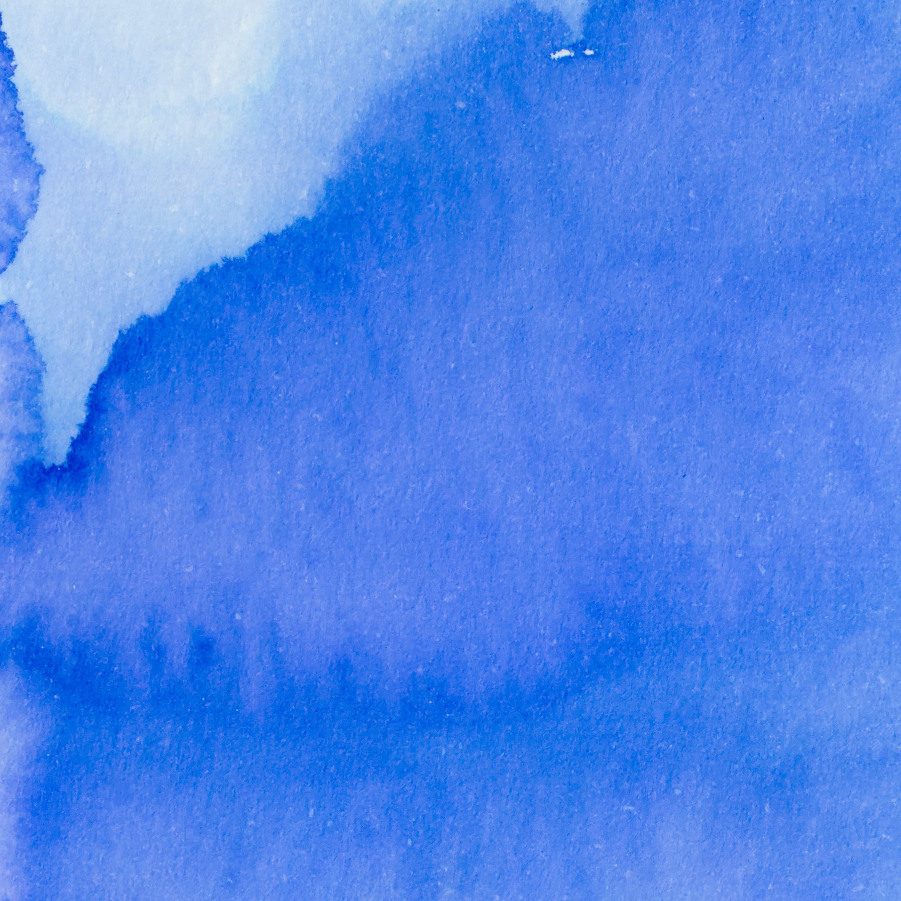 Pennonia Hajnal Dawn