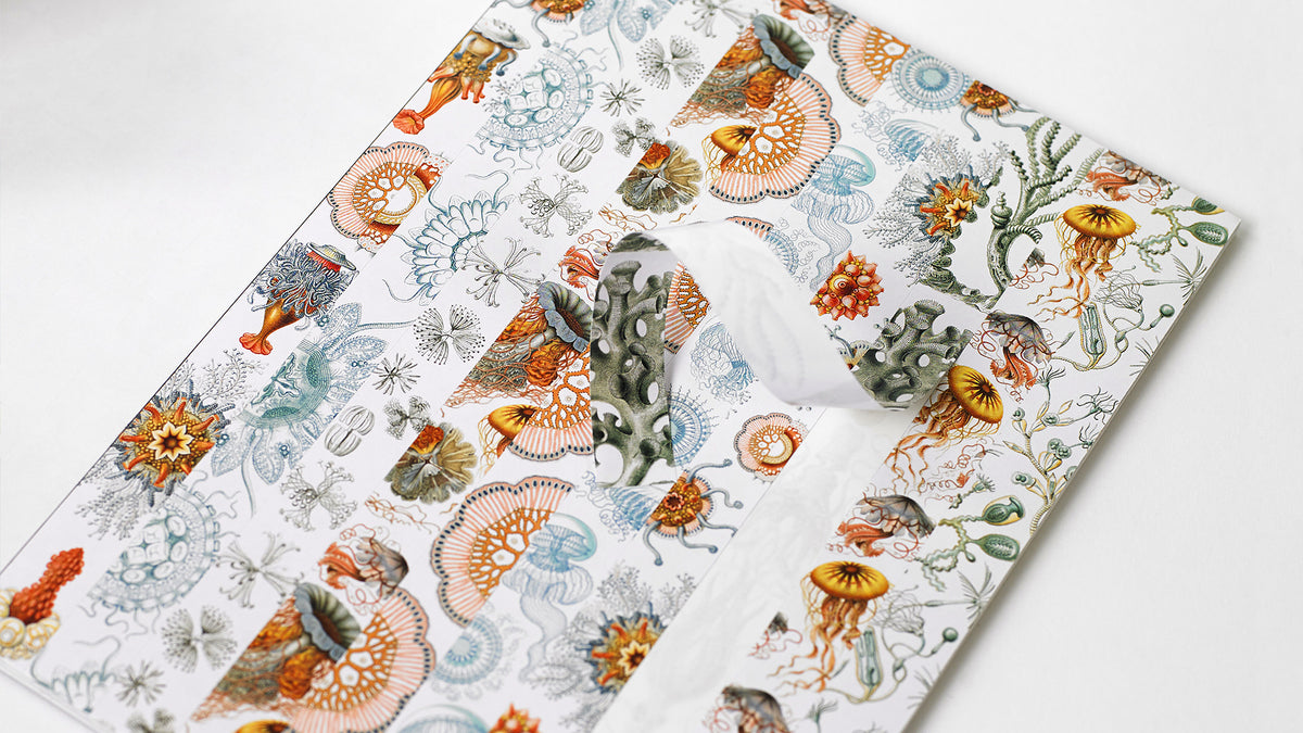 Pepin Label, Sticker & Tape Book - Art Forms In Nature