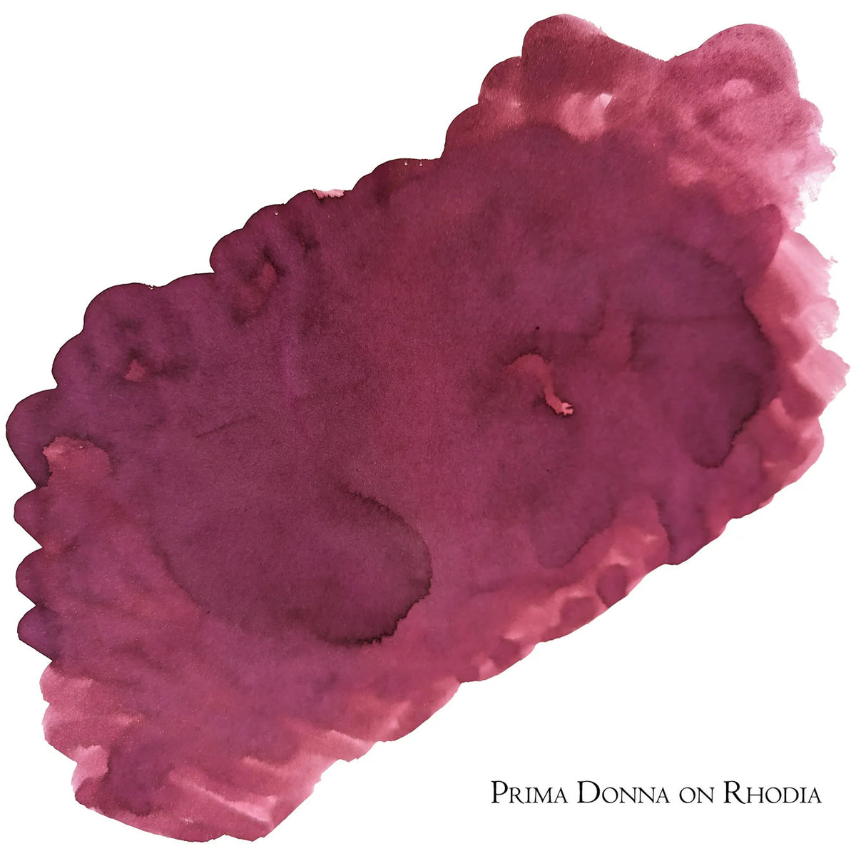 Van Dieman's Encore - Prima Donna