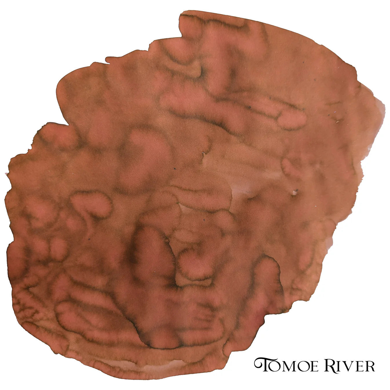 Van Dieman's Explorers - Dr. David Livingstone