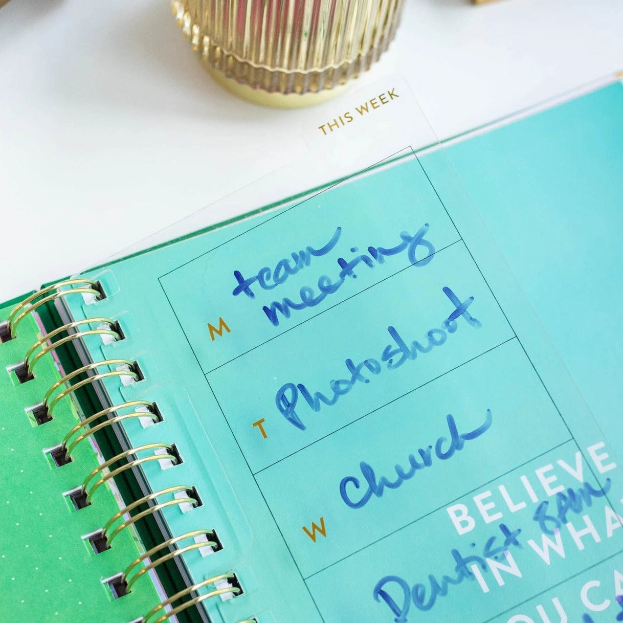 The Daily Grace Co. Snap-in Weekly Wet Erase