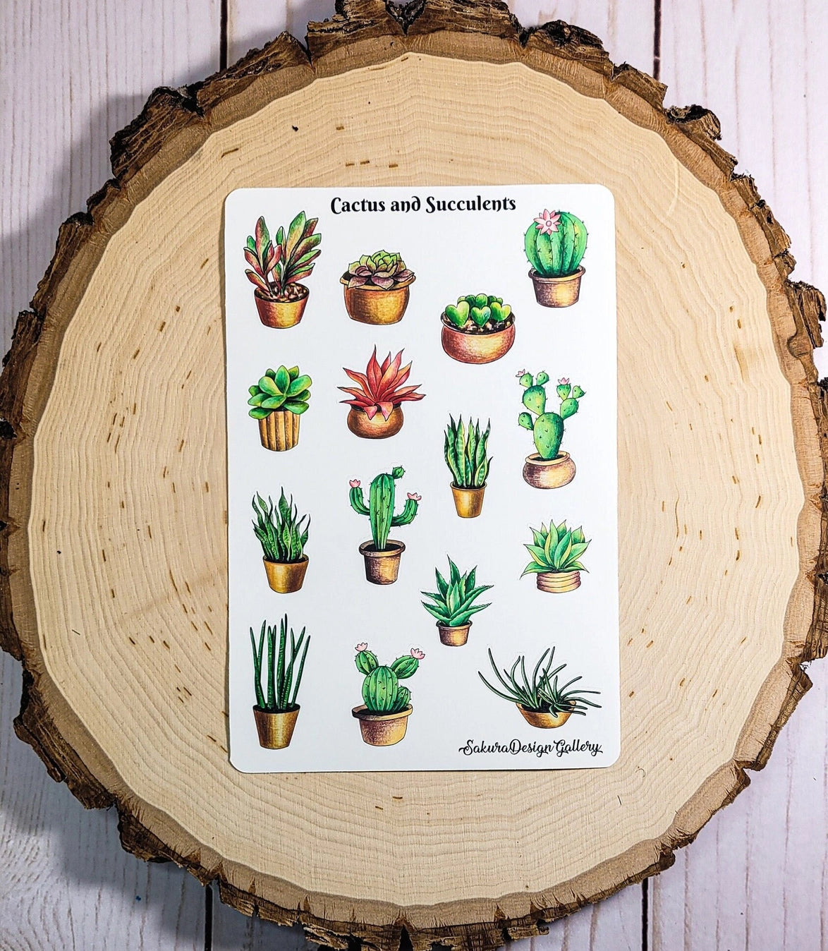 Sakura Design Gallery - Vinyl Stickers - Cactus and Succulents