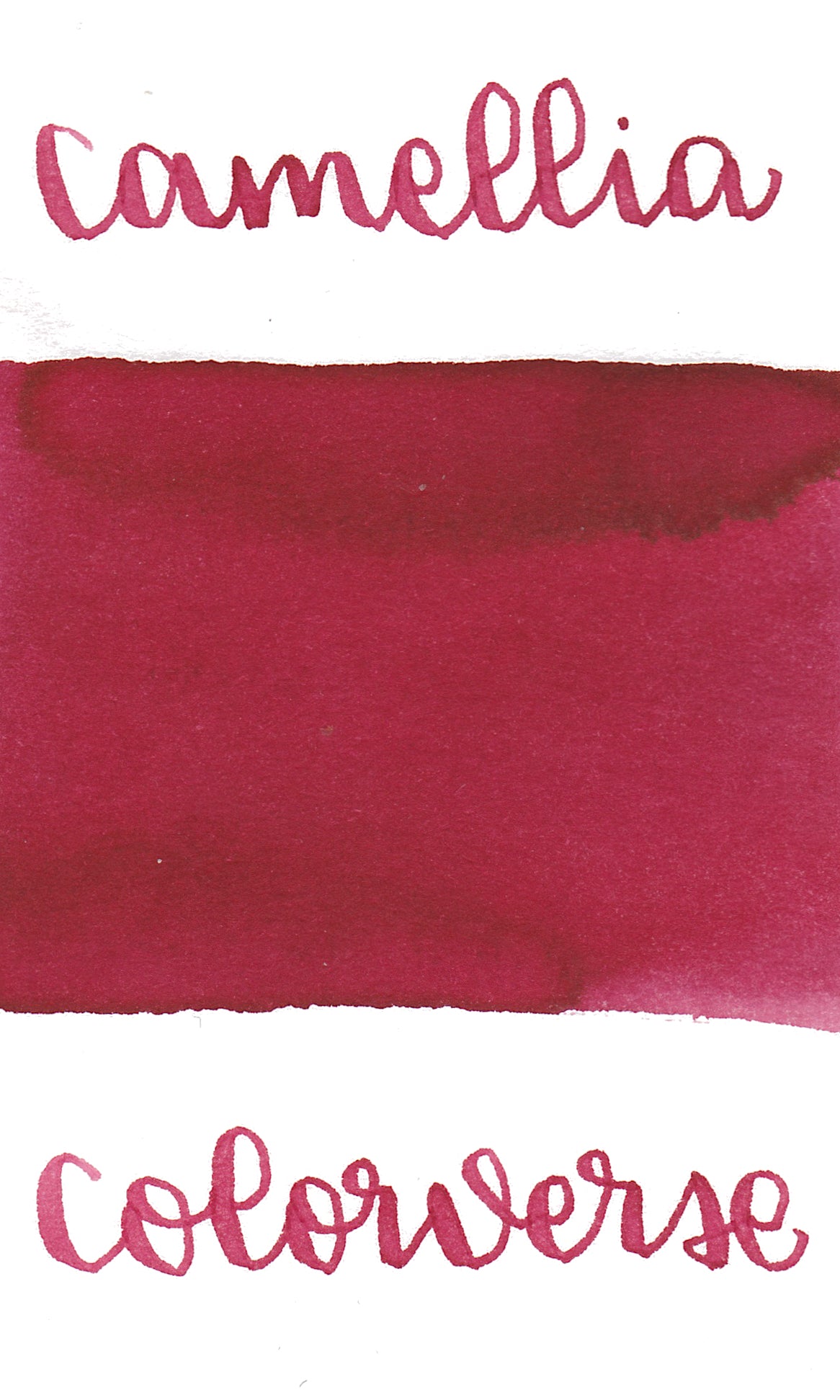 Colorverse Korea Special Series Ink #63 Camellia