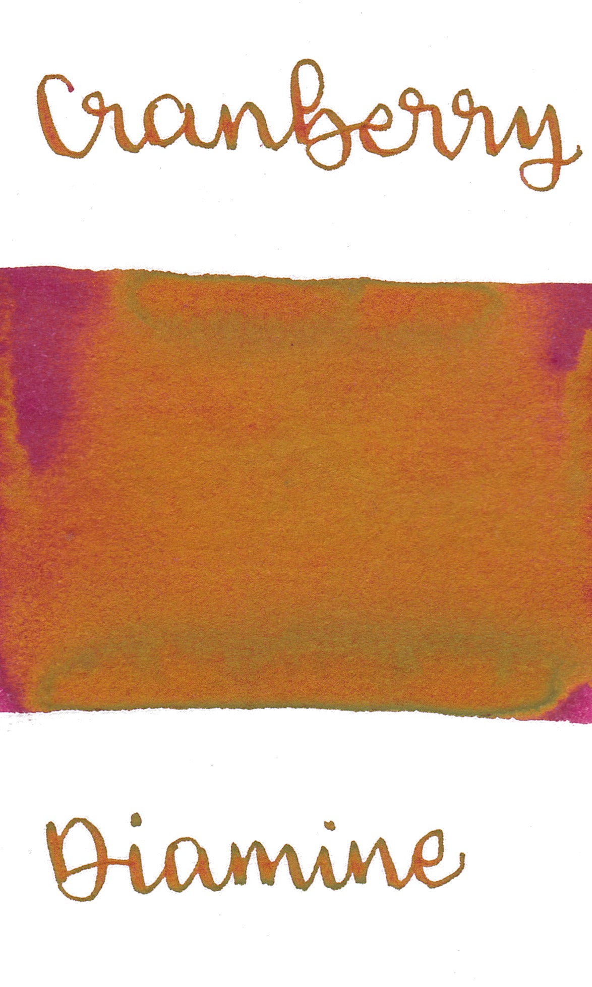 Diamine Black Edition Cranberry Sheening Ink