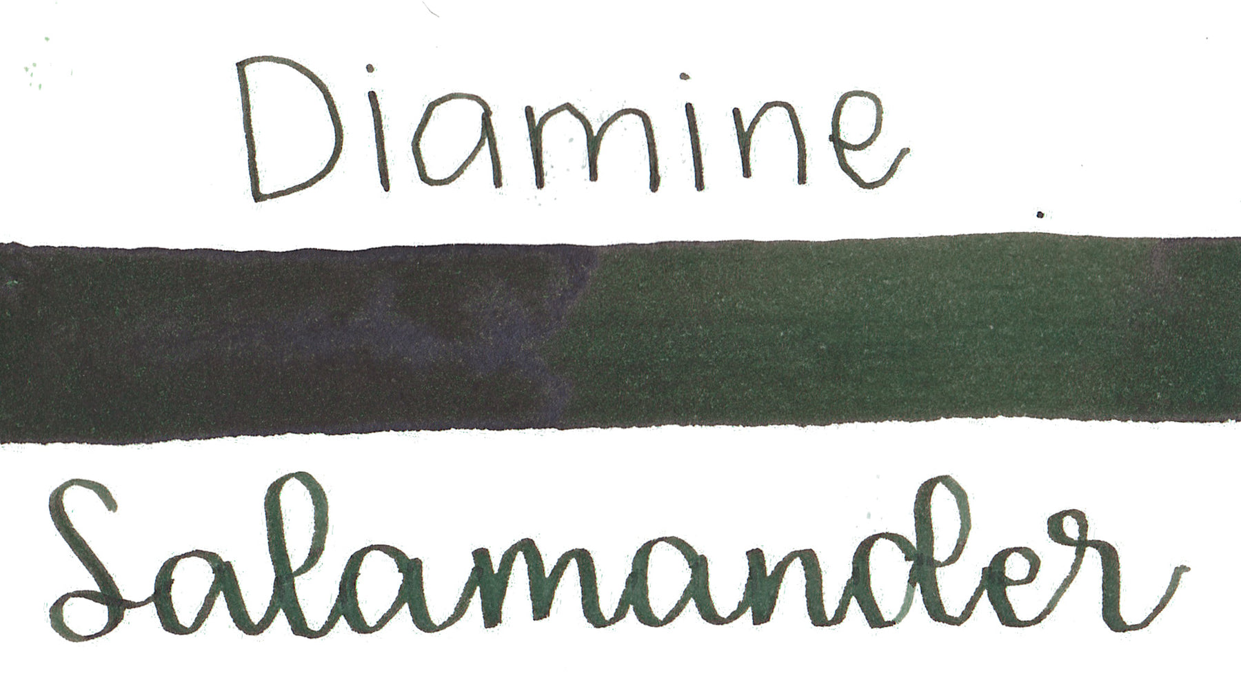 Diamine Salamander