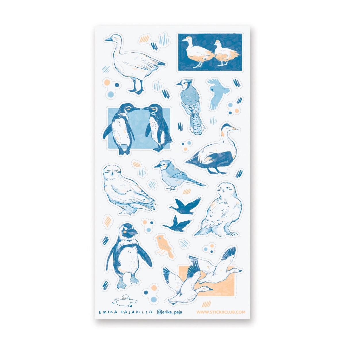 STICKII Sticker Sheet - Birds of Winter