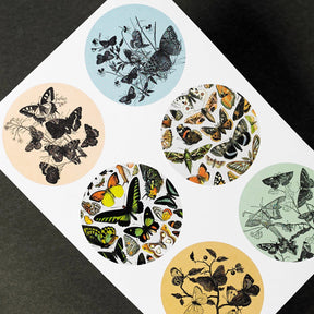 Pepin Label, Sticker & Tape Book - Natural History