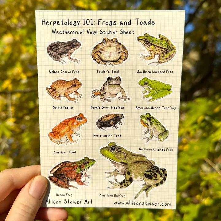 Allison Stoiser Art - Stickers - Herpetology 101: Frogs and Toads