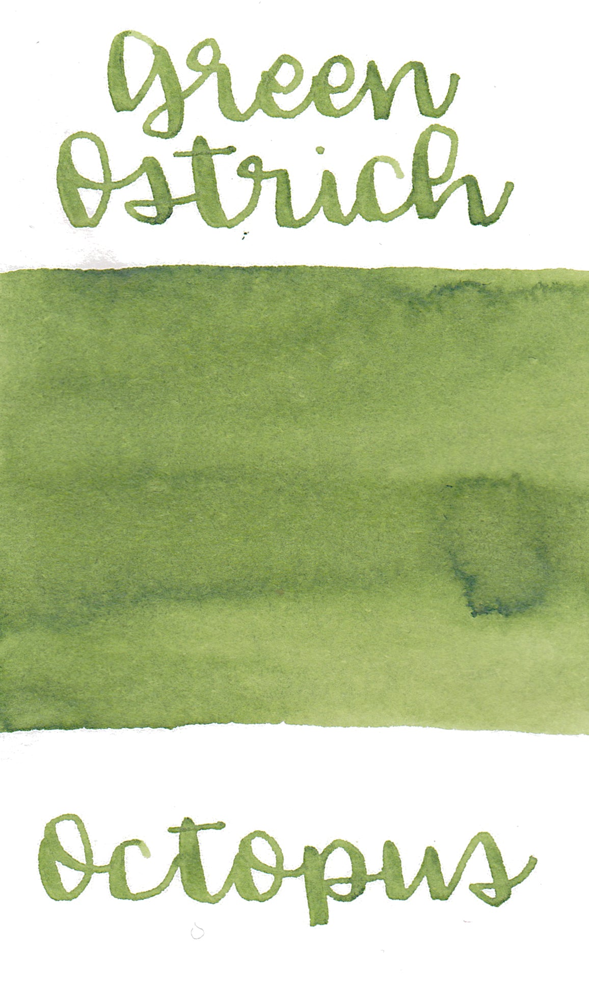 Octopus Write and Draw Ink 359 Green Ostrich