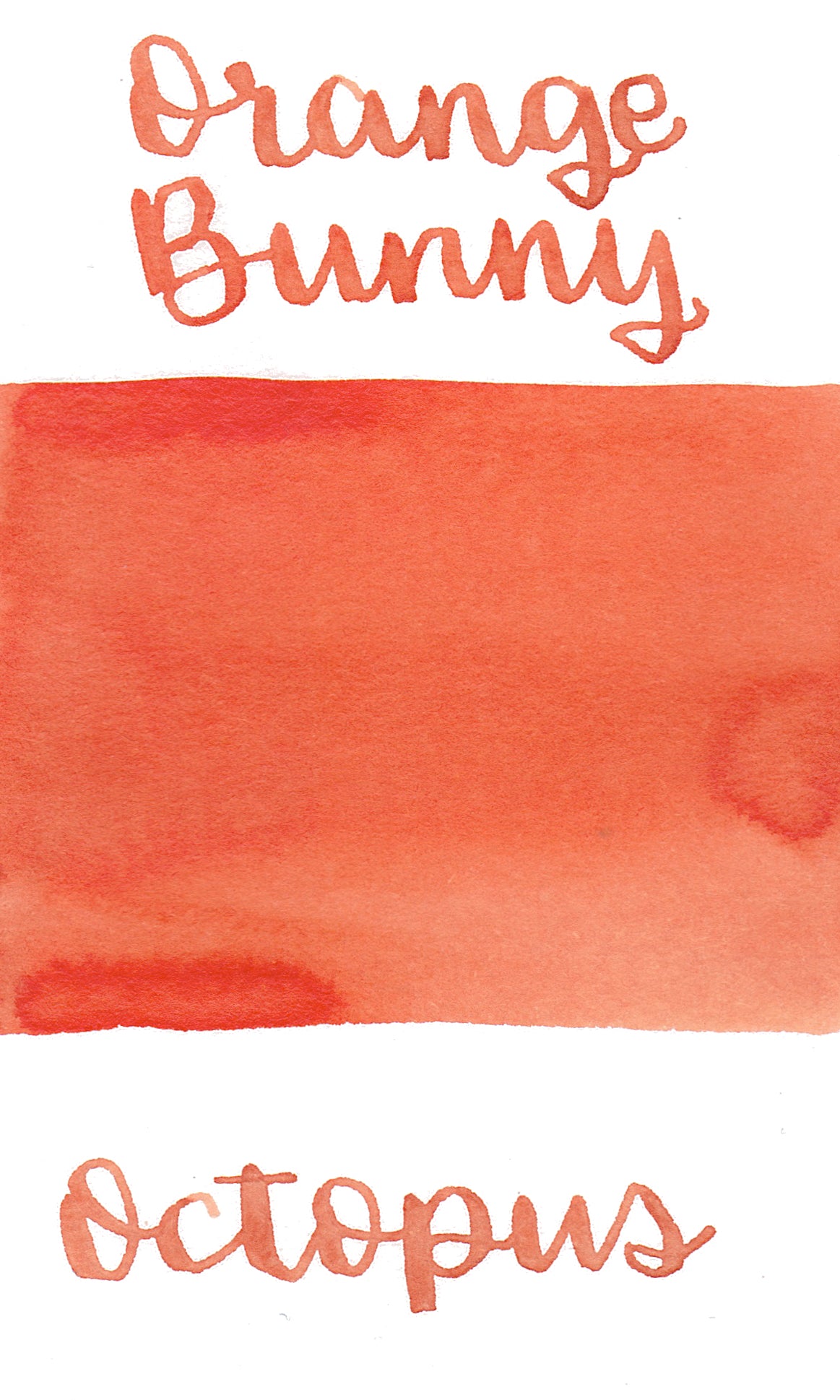 Octopus Write and Draw Ink 549 Orange Bunny