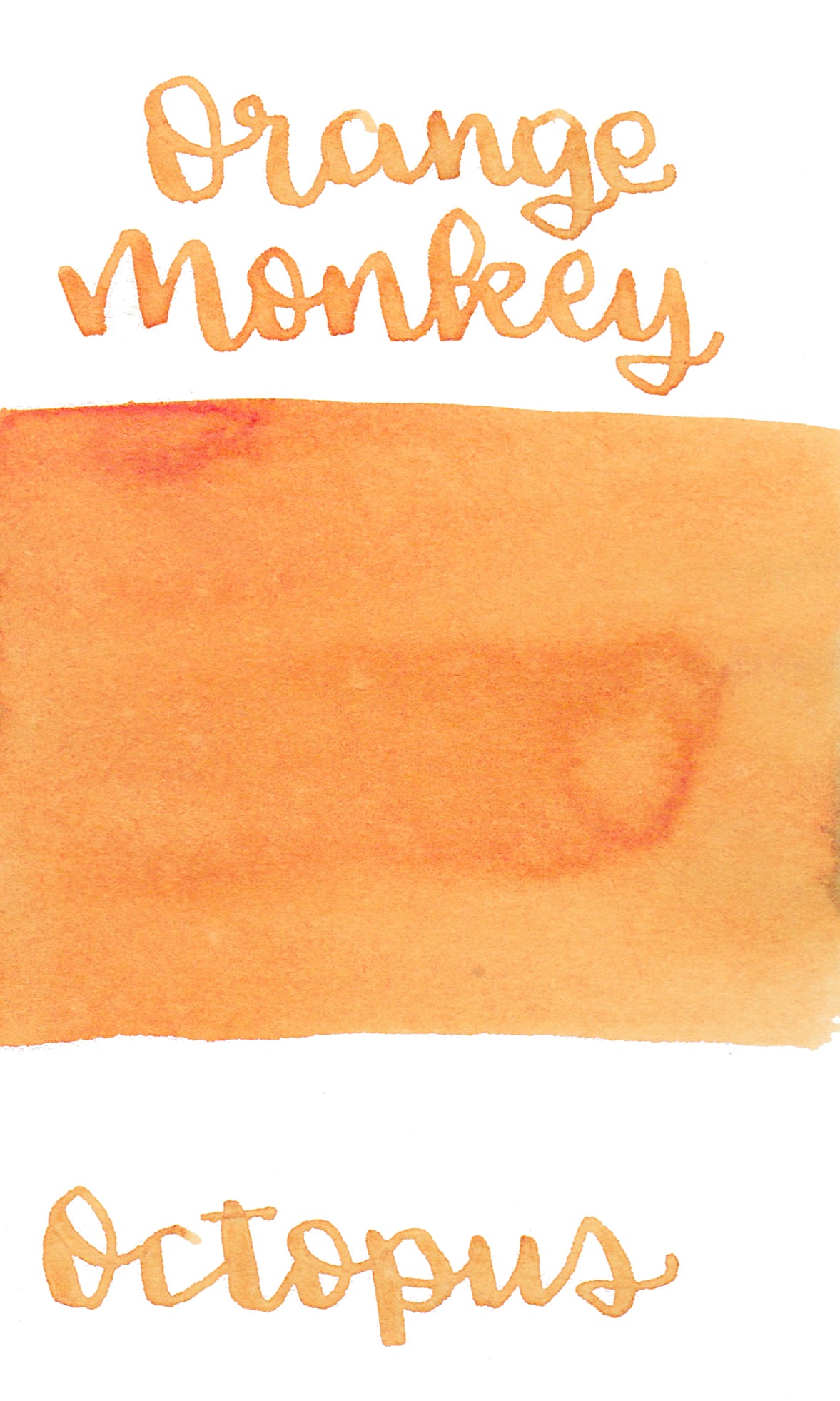 Octopus Write and Draw Ink 476 Orange Monkey