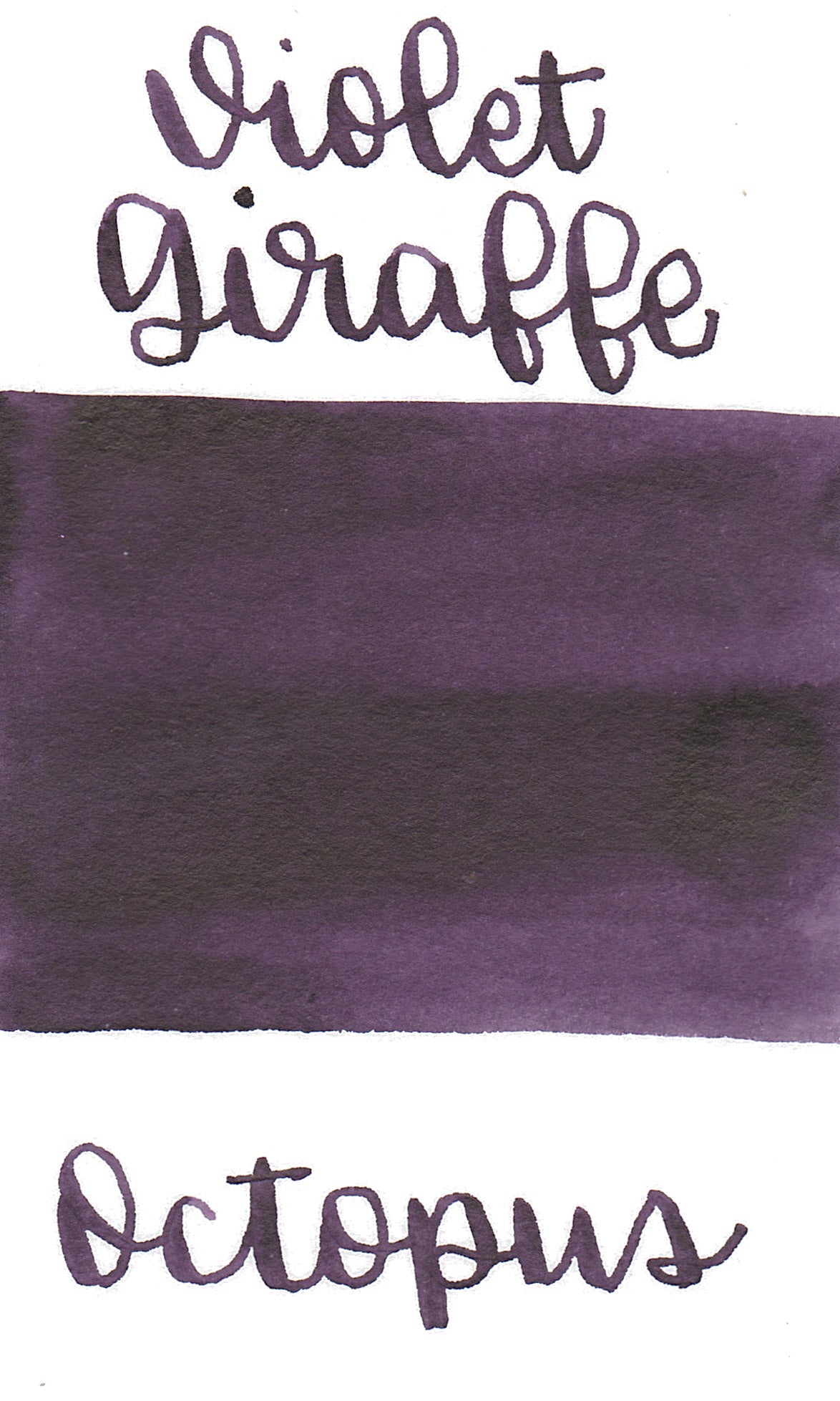 Octopus Write and Draw Ink 410 Violet Giraffe