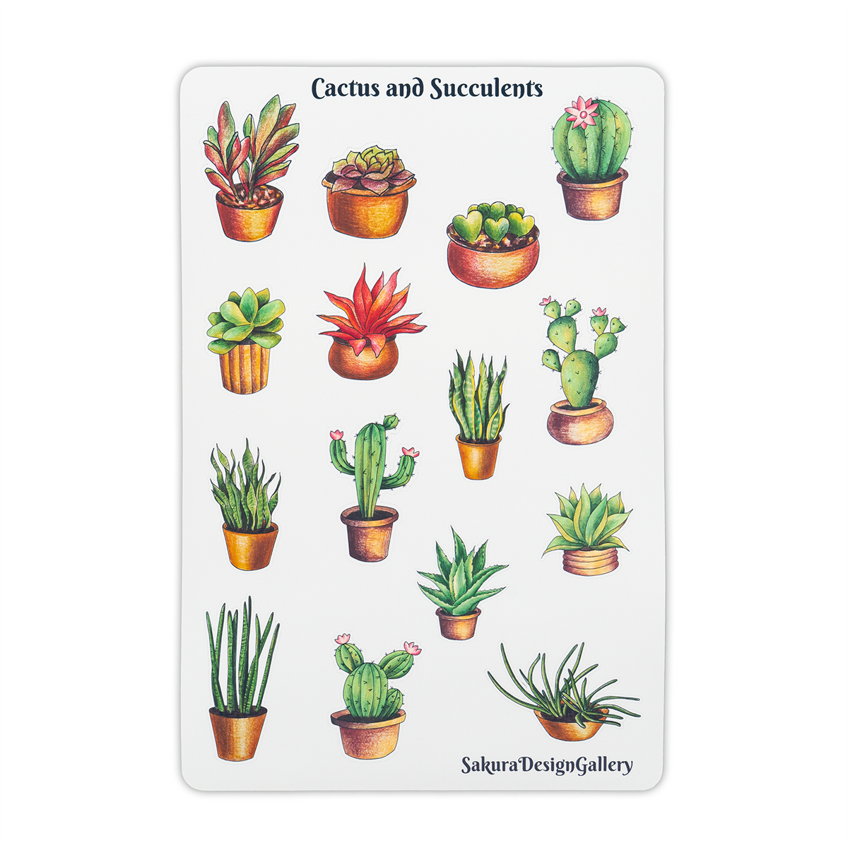 Sakura Design Gallery - Vinyl Stickers - Cactus and Succulents