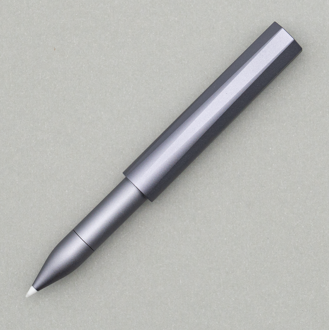 Tom's Studio - The Wren