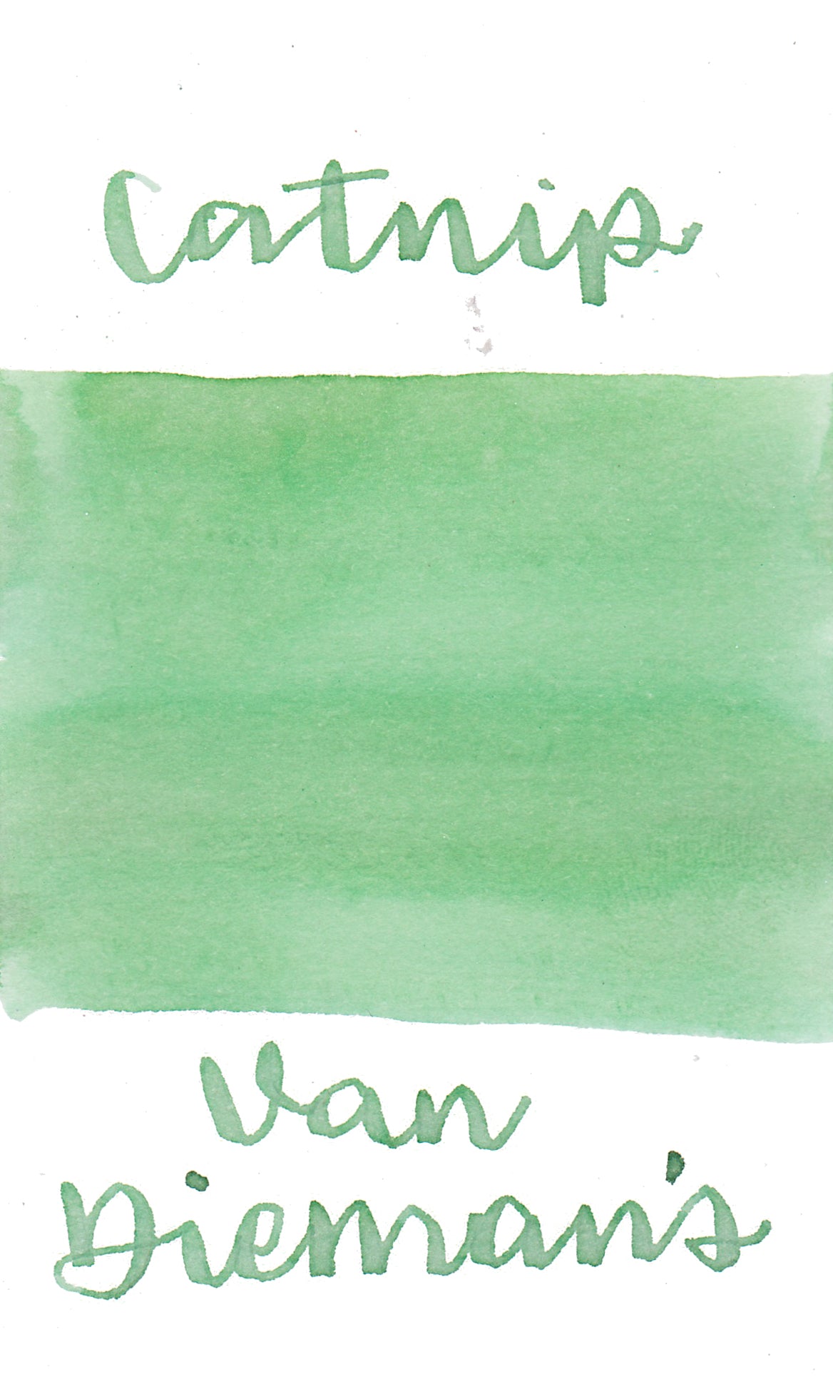 Van Dieman's Feline - Catnip