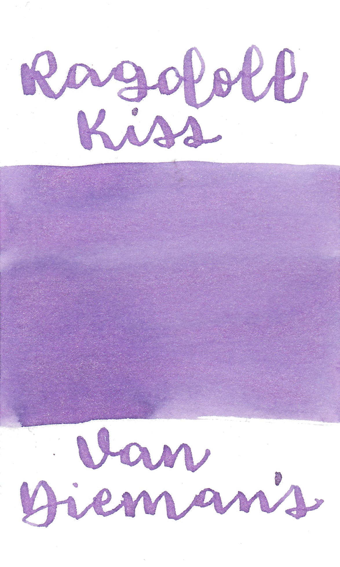 Van Dieman's Feline - Ragdoll Kiss Shimmering