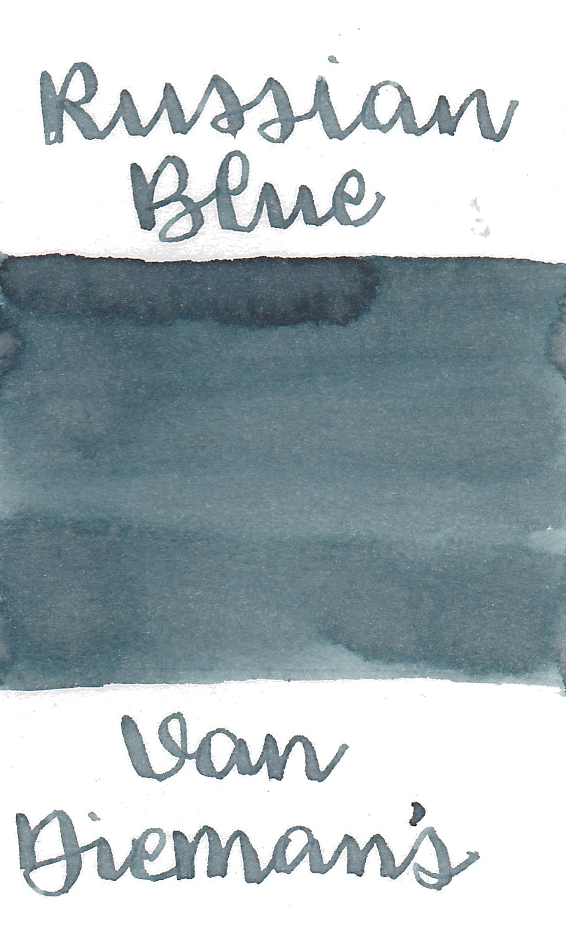 Van Dieman's Feline - Russian Blue