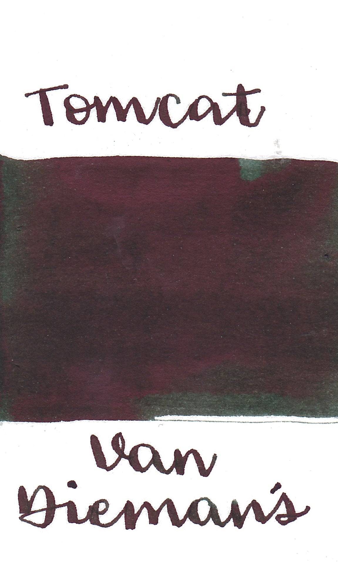 Van Dieman's Feline - Tomcat