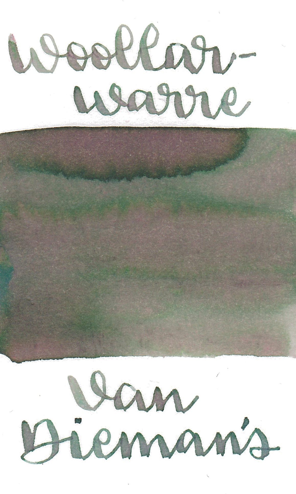 Van Dieman's Voyagers - Woollarawarre Bennelong