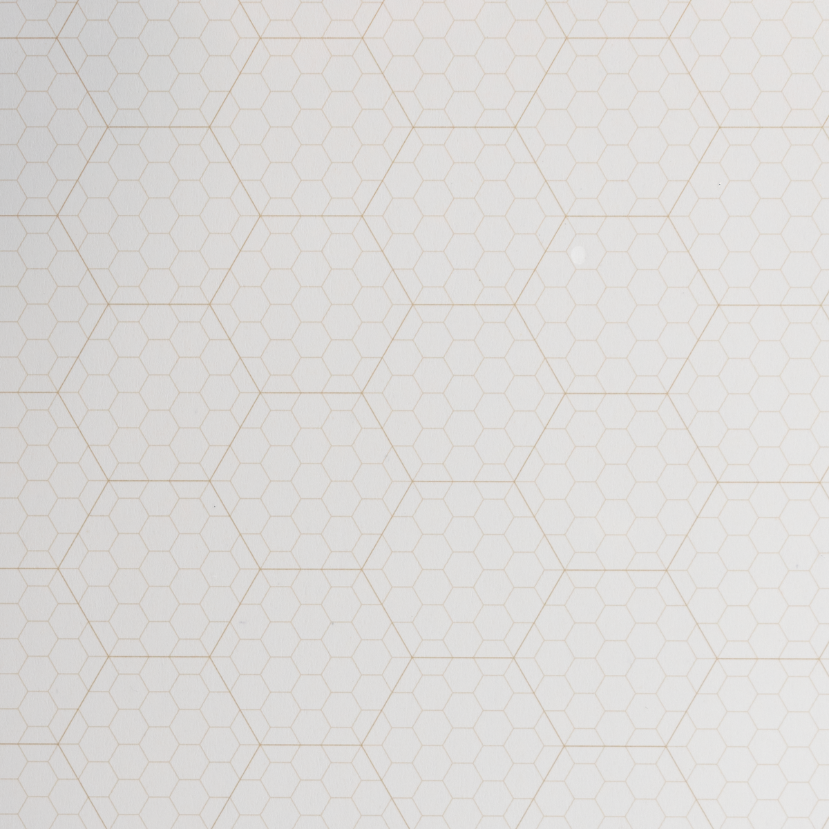 Blackwing Volume 20 Hex Grid Legal Pad