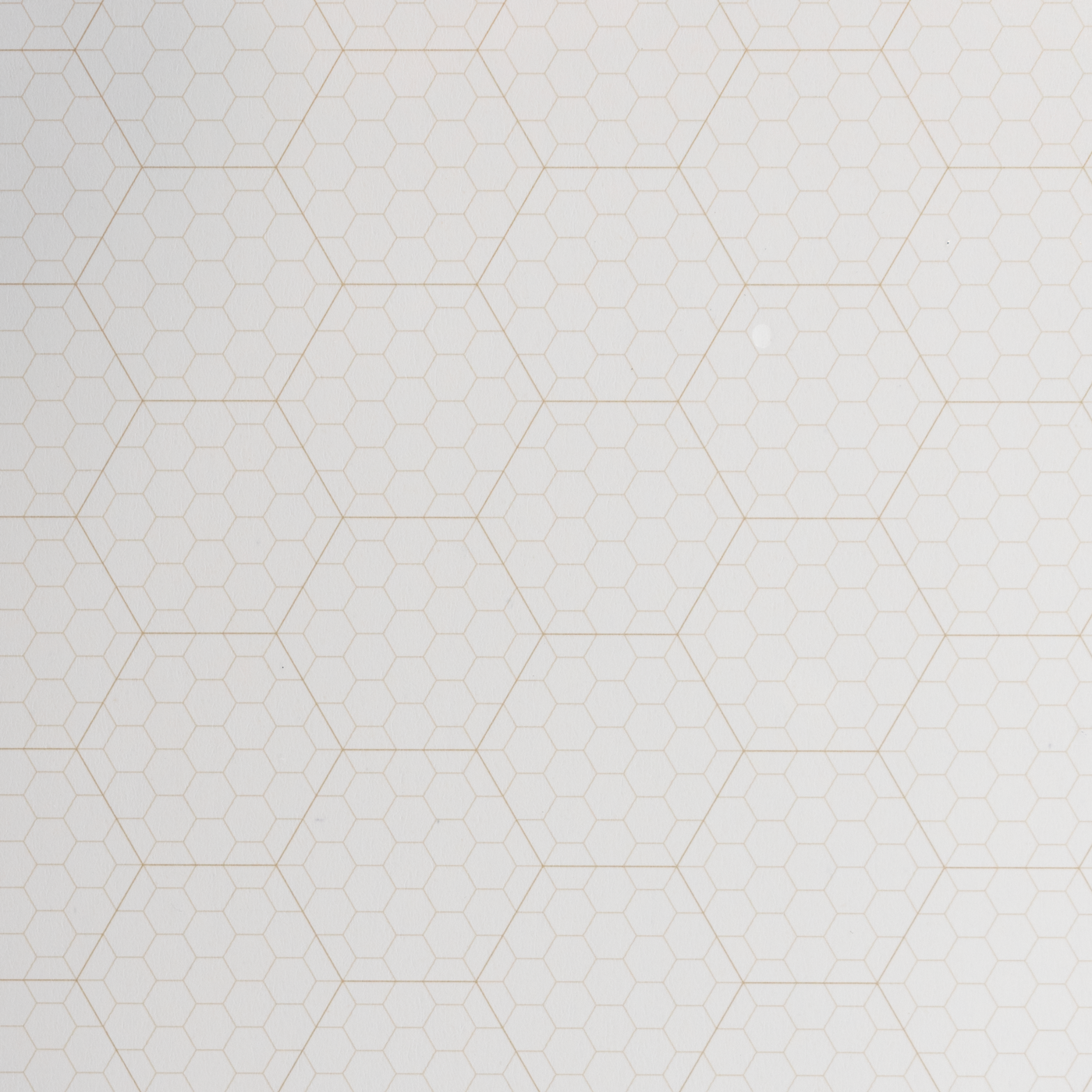 Blackwing Volume 20 Hex Grid Legal Pad