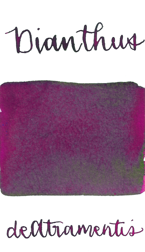 De Atramentis Fragrance Dianthus, Magenta