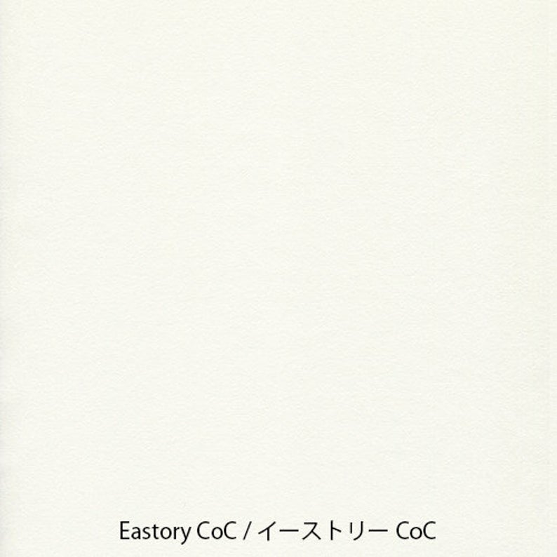 Yamamoto Paper Eastory CoC A4 Loose Leaf 50 Sheets