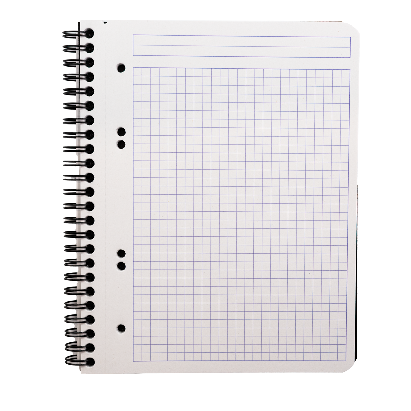 Rhodia Greenbook A5+ Notebook