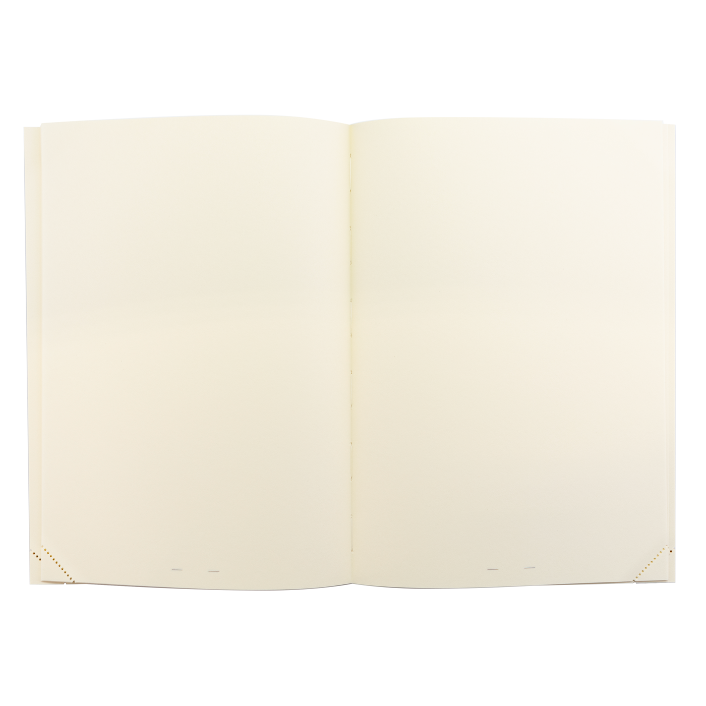 Midori MD Notebook Journal A5 - 1 Day 1 Page - Blank
