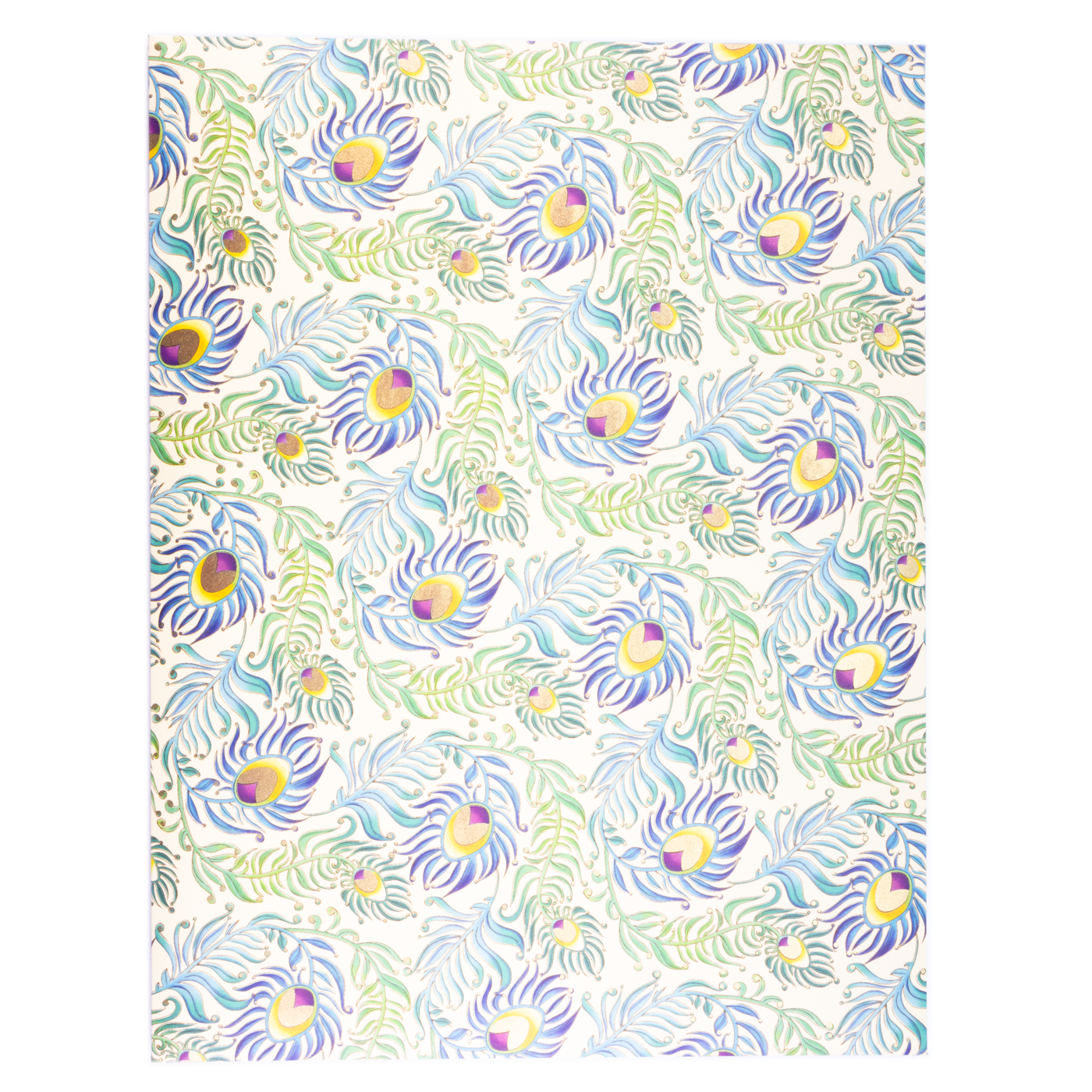 San Lorenzo Card Portfolio Large - Peacock