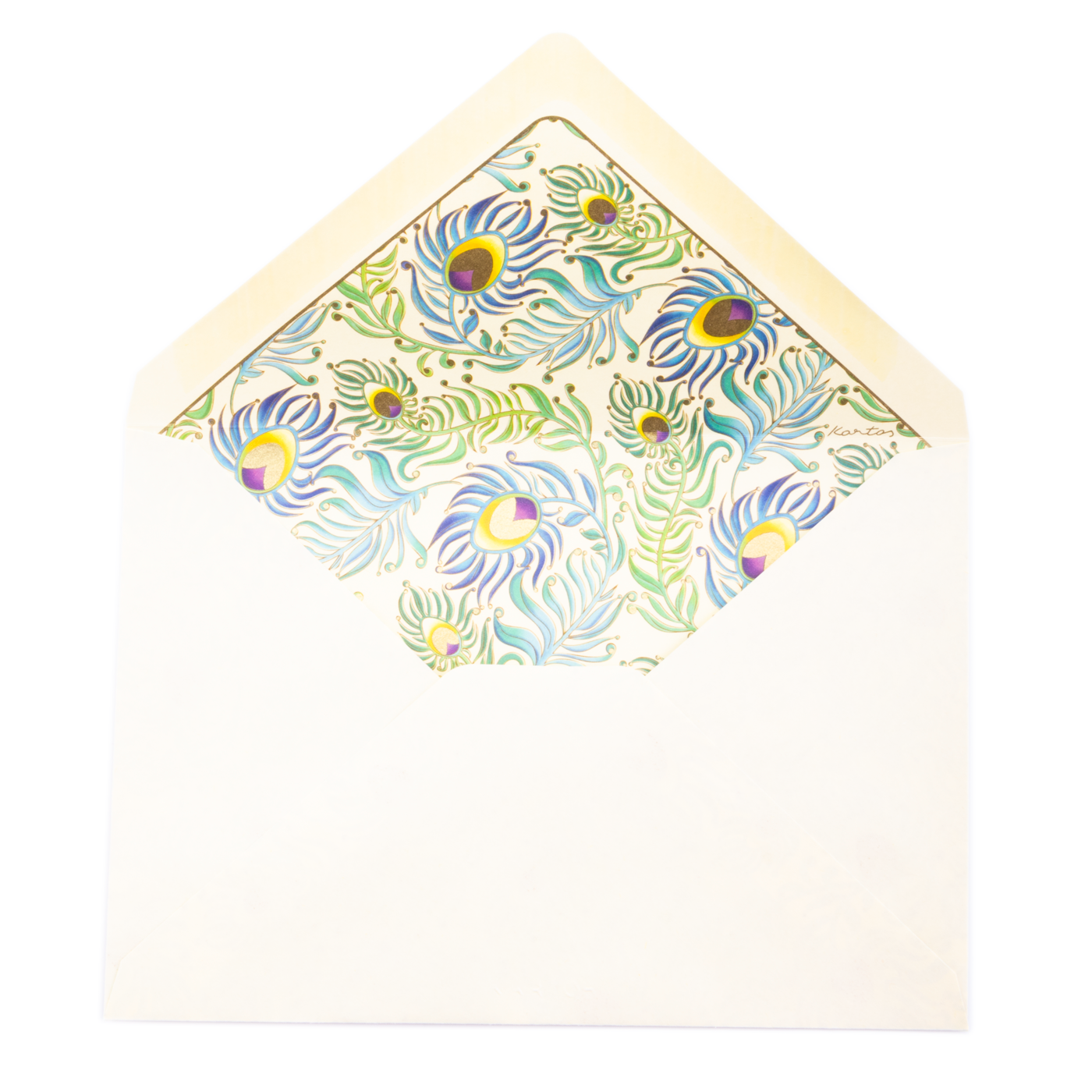 San Lorenzo Card Portfolio Large - Peacock