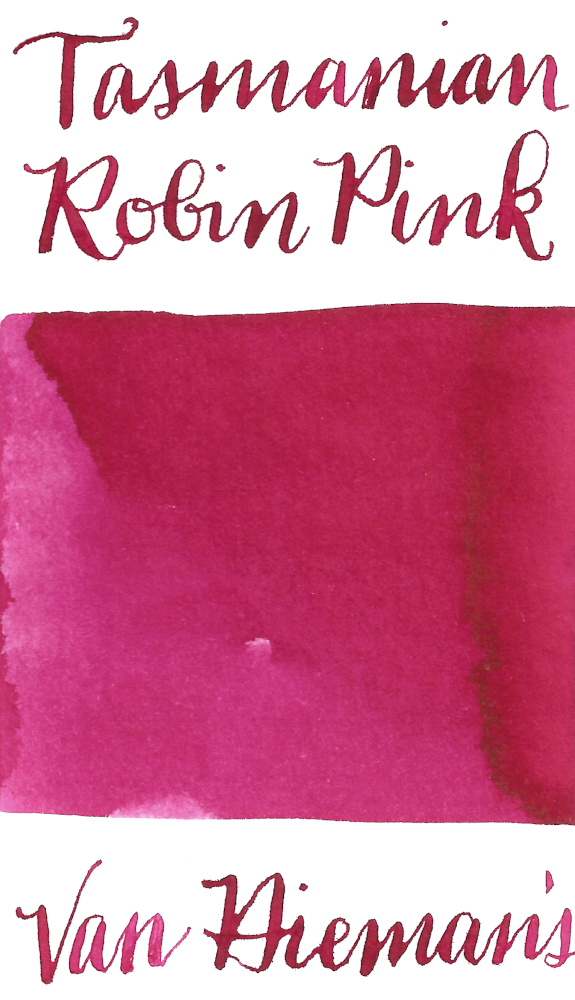 Van Dieman's Tasmanian Robin Pink