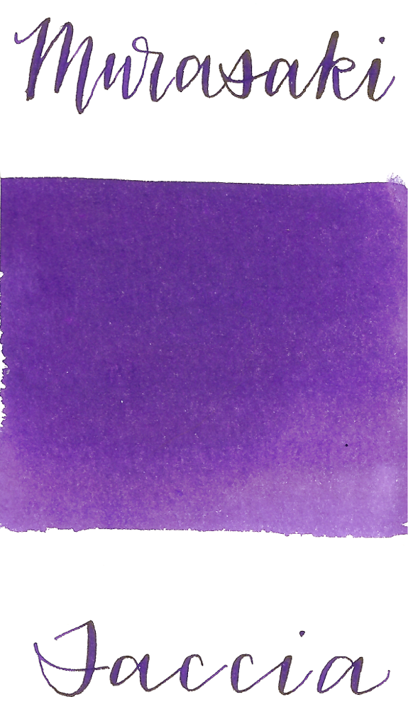 Taccia Murasaki Purple