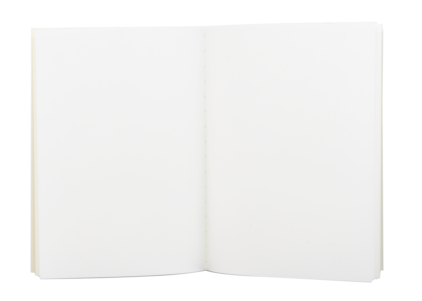 TRAVELER'S COMPANY 005 Passport Sized Refill - Blank Paper