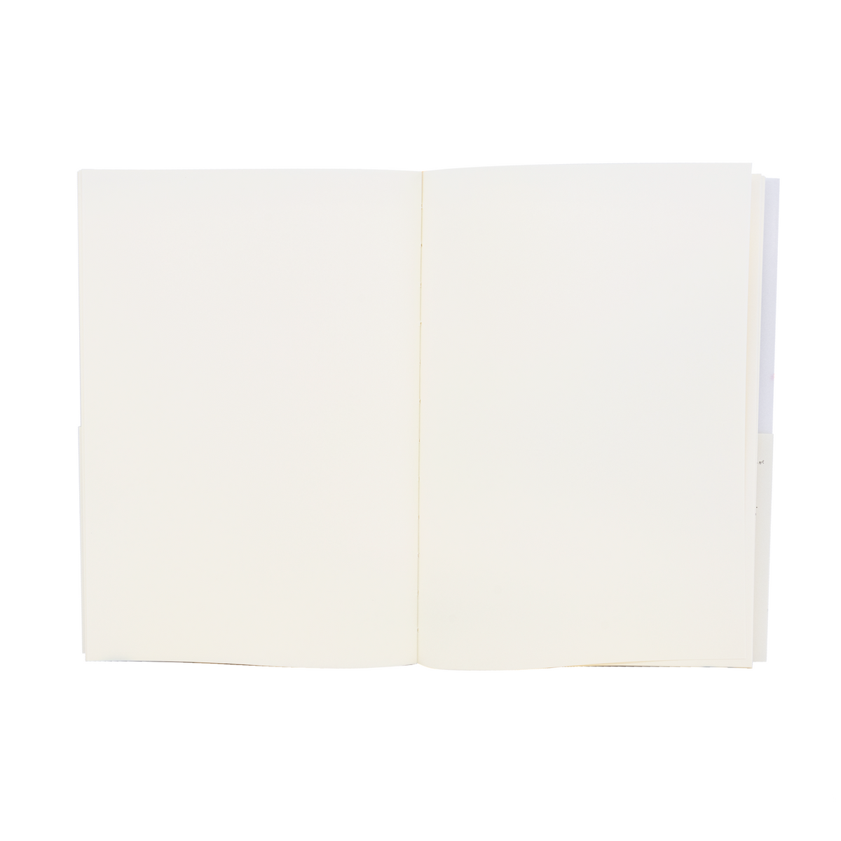 Midori MD A5 Blank Notebook