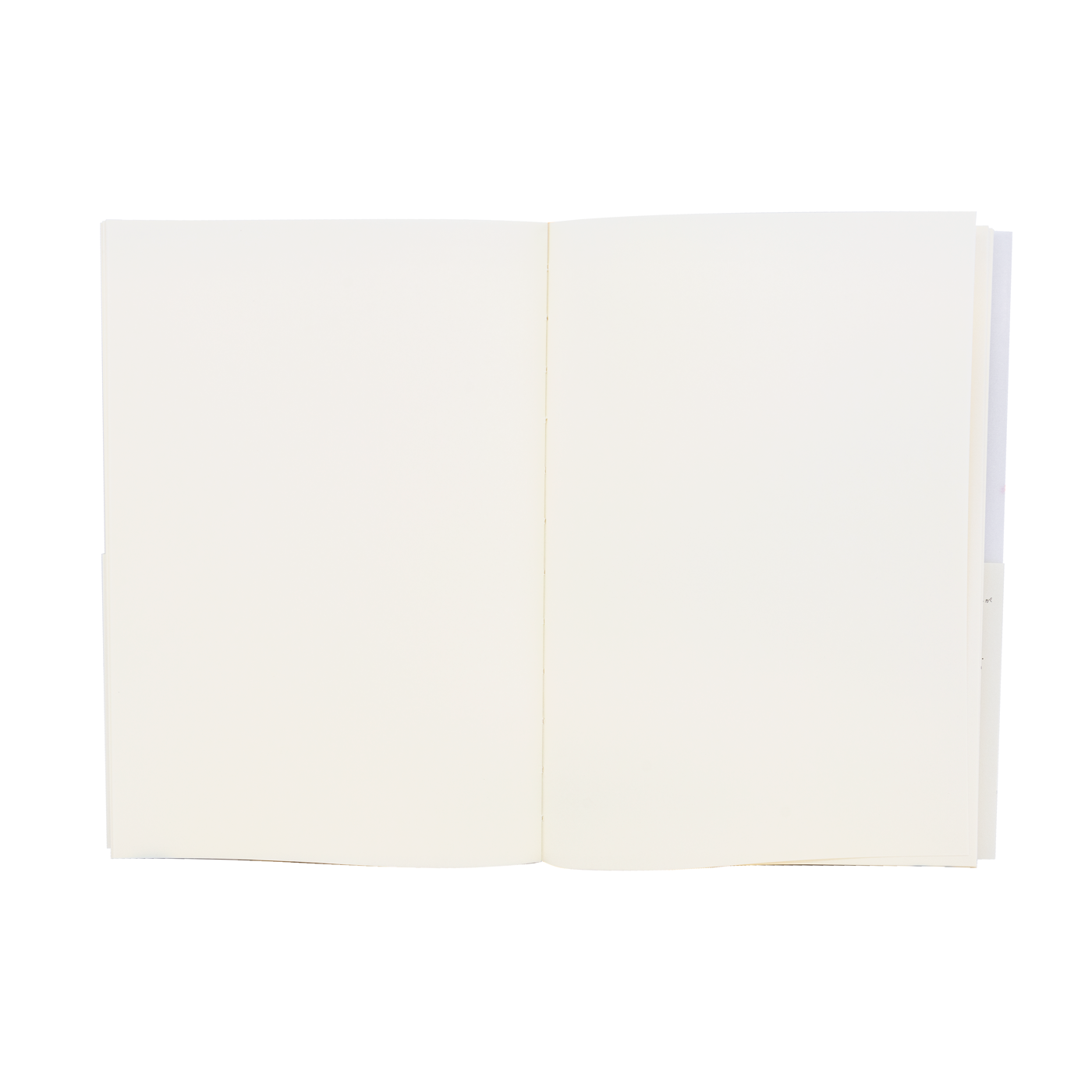 Midori MD A5 Blank Notebook