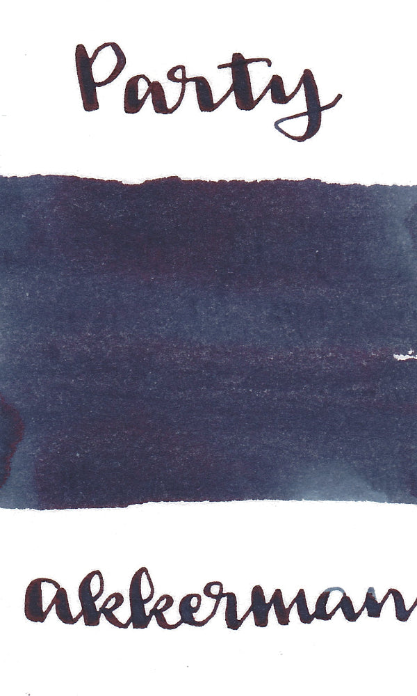 Akkerman Fountain Pen Ink The Hague: Business in the Front Party in the Back