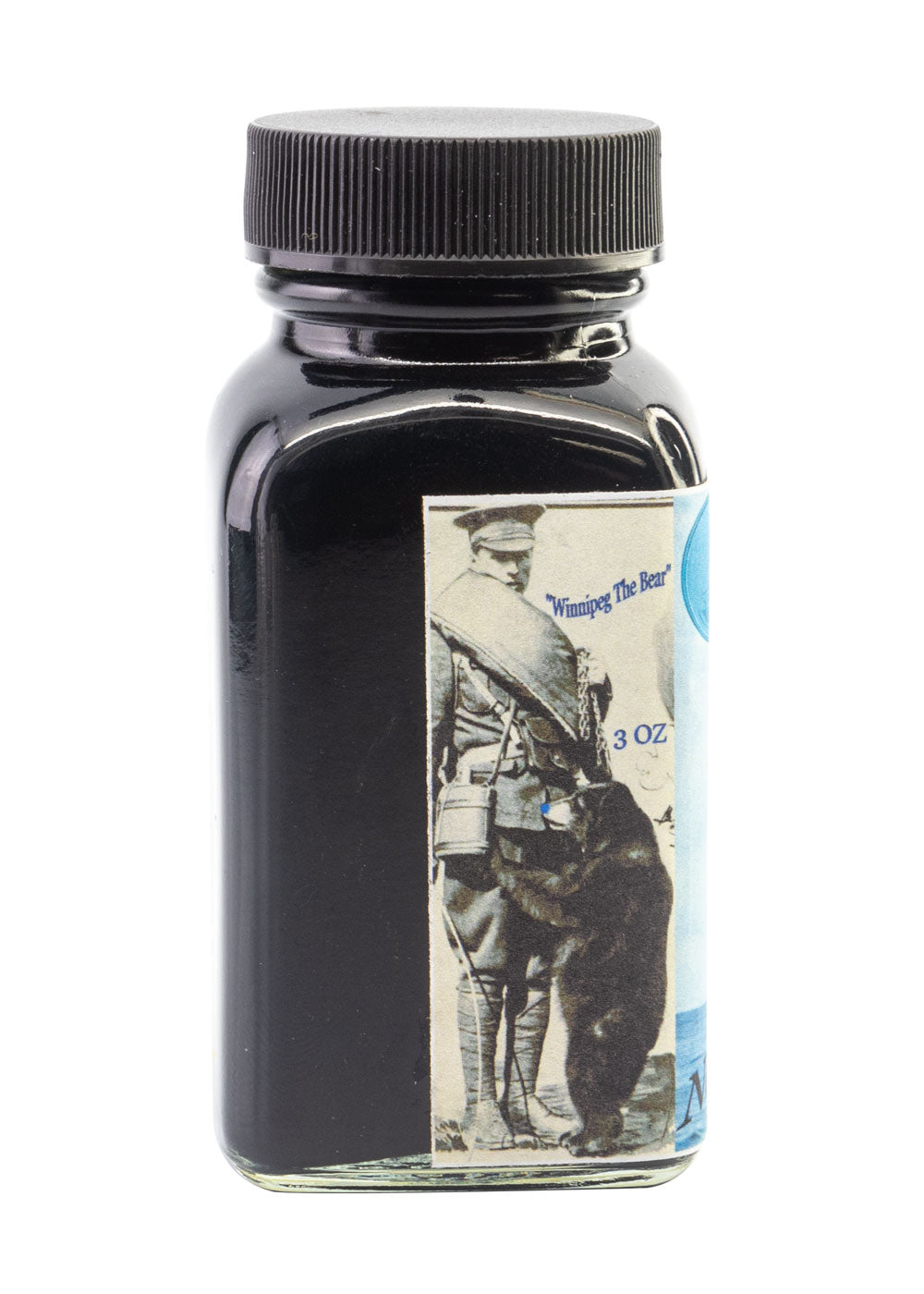 Noodler's Blue Nose Bear