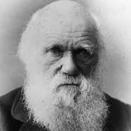 De Atramentis Charles Darwin, Jeans Blue