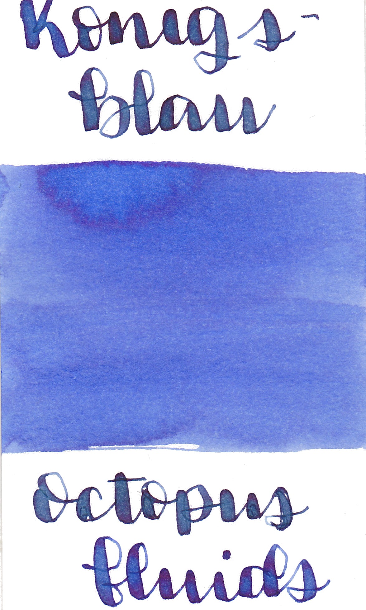 Octopus Konigsblau Royal Blue Ink (erasable)