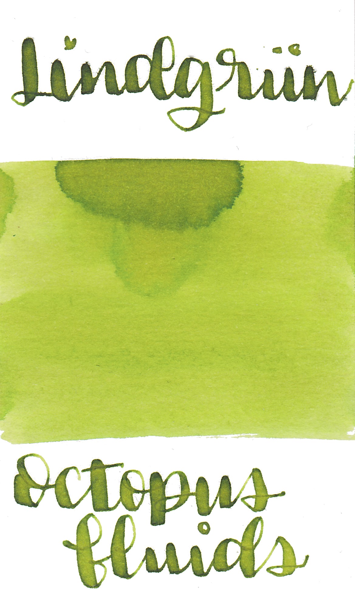 Octopus Lindgrun (Lime Green)
