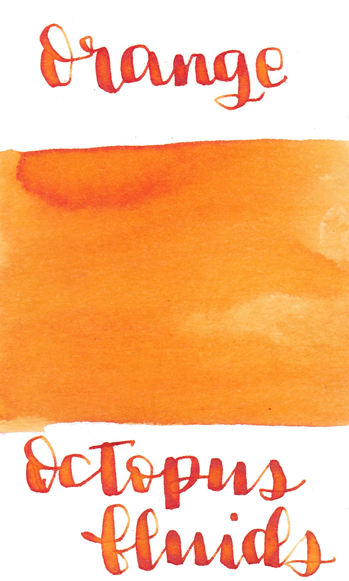 Octopus Orange